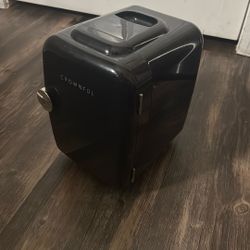 Cosmetic Fridge