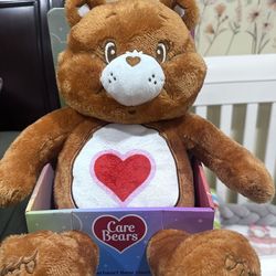 Heatable Care Bear