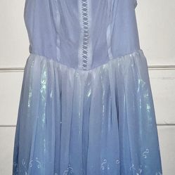 Cinderella Dress