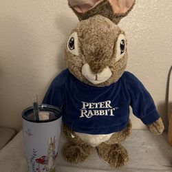 Petter & Rabbit  ✨💙🐇