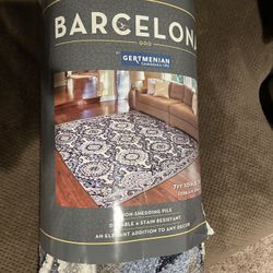 REDUCED PRICE!!!! Brand New 7x10 Area Rug