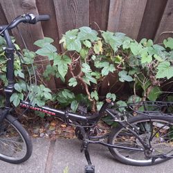 Foldable Bike