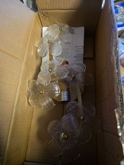 2-Light Brushed Brass Glass Flower Wall Sconce