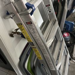 Werner Ladder