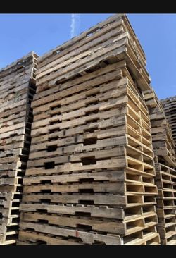 Pallets 5ft