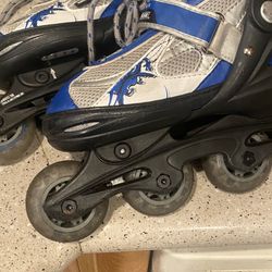 Skates Size 7