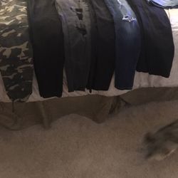 Jeans Six 11 Ladies $10