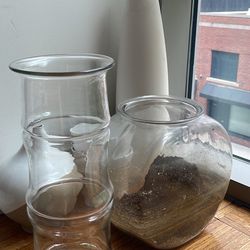 Glass vase + Fish tank 