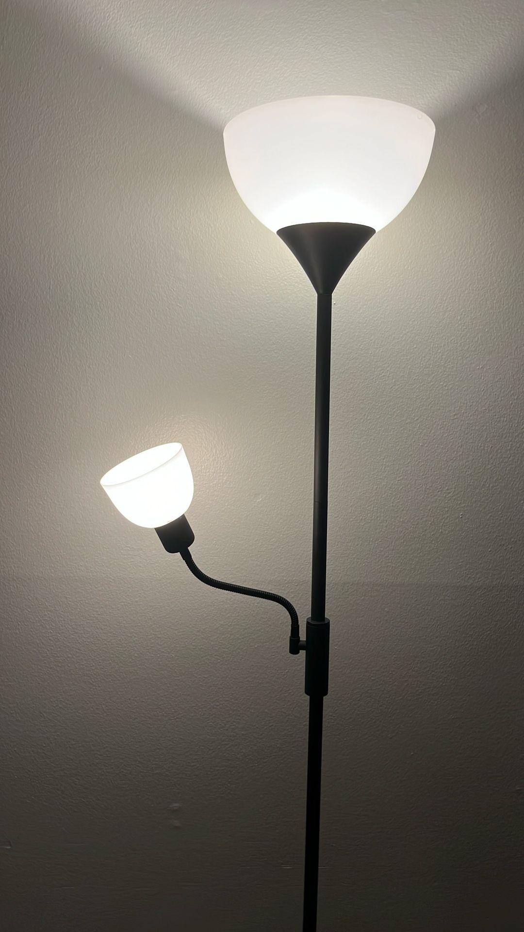 Adjustable Stand Up Lamp 