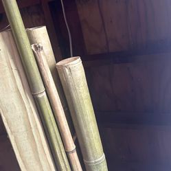 bamboo poles 