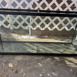 55 Gallon Tank