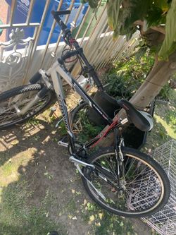 Mountain Bike (Schwinn Ranger)
