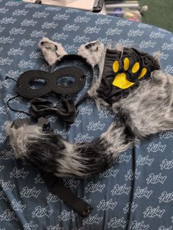 Racoon Costume Child
