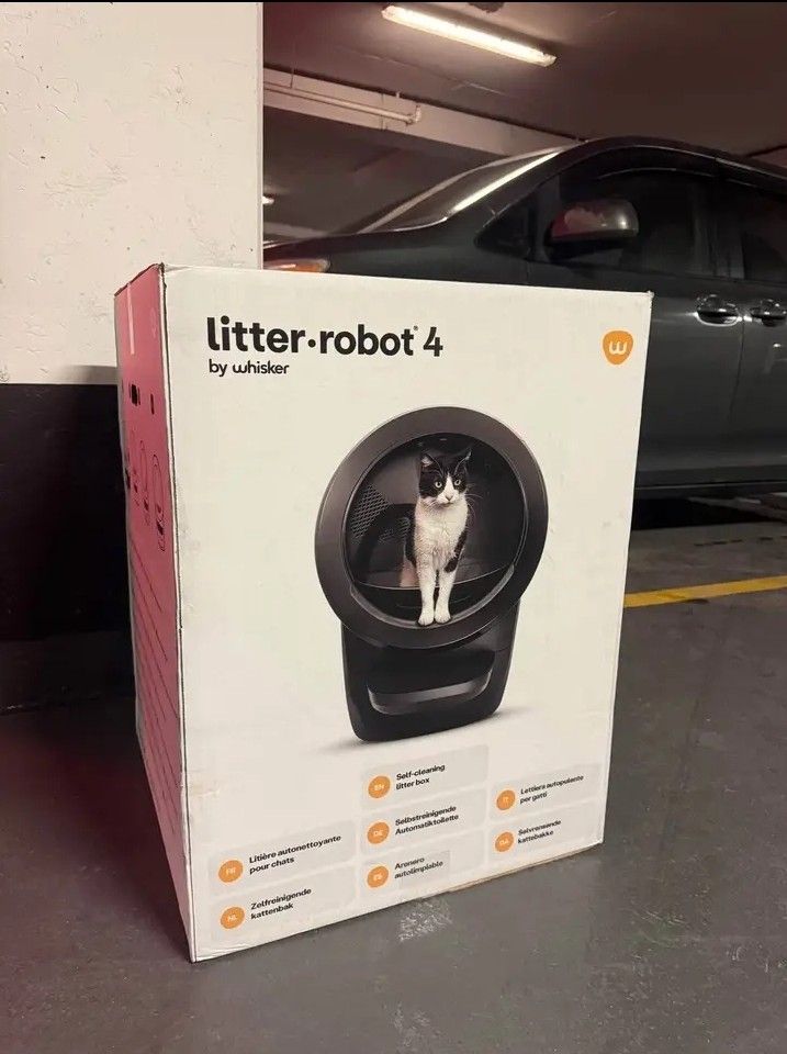 Iitter 