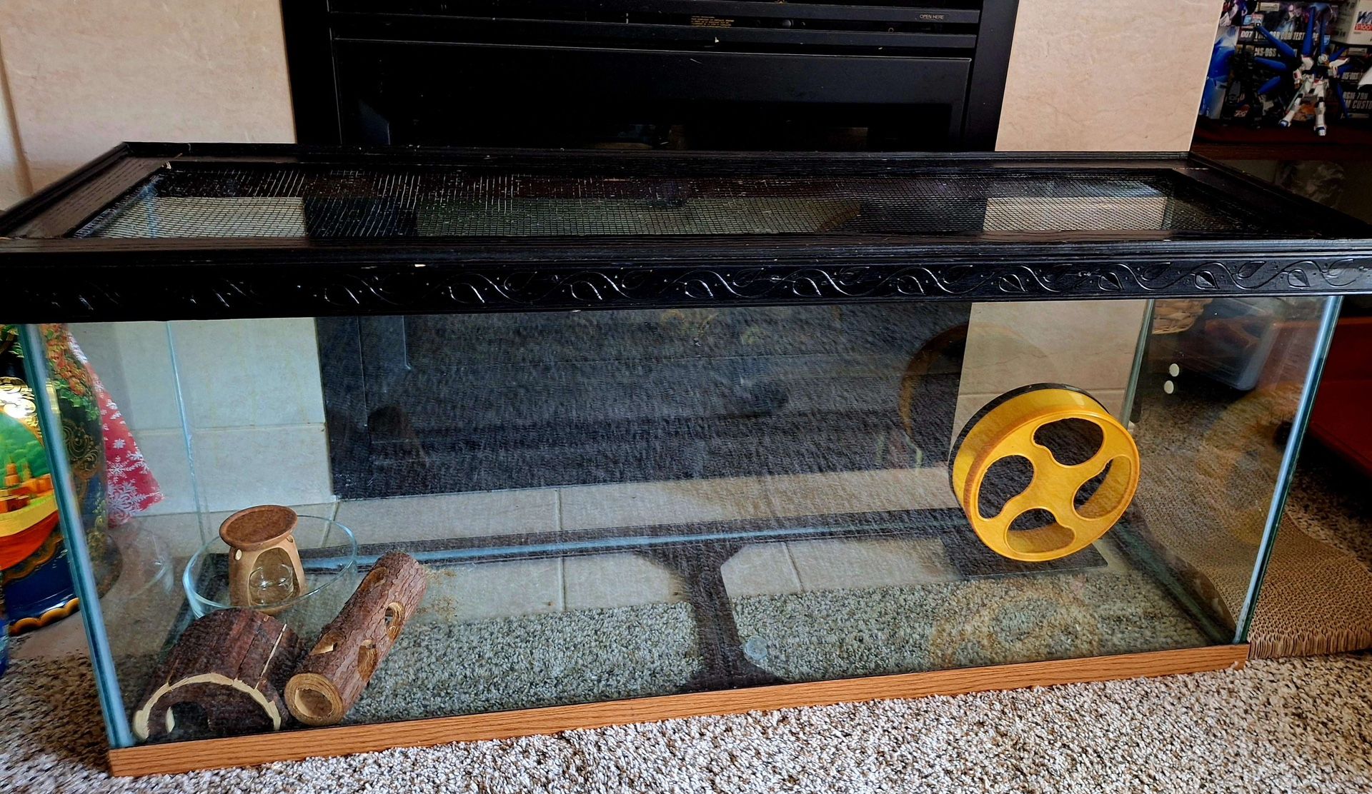 40 Gallon Tank/Cage