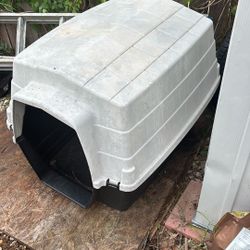 Dog House 