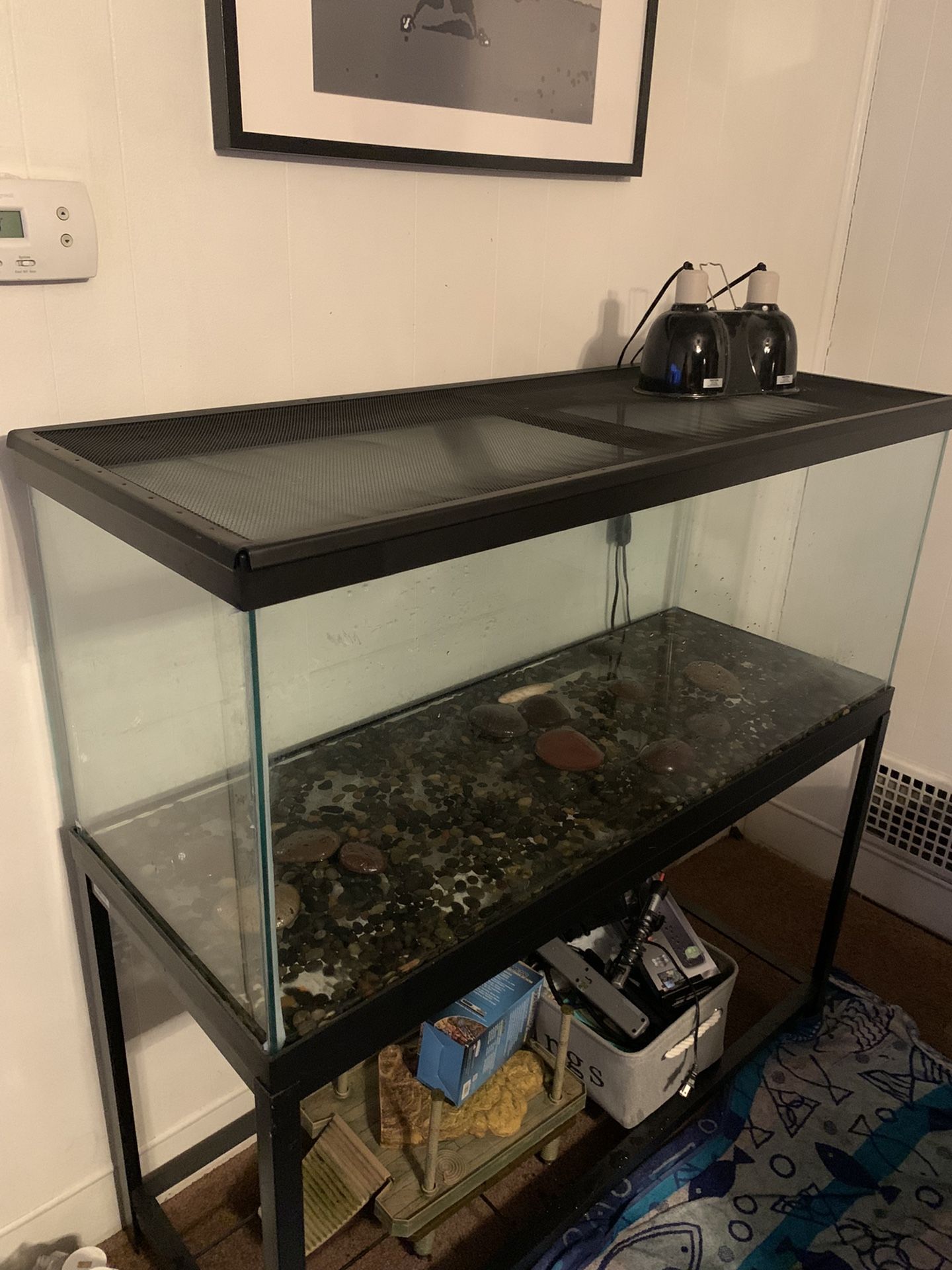 75 Gallon Tank, Stand, Lid And Lights