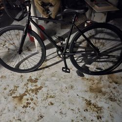 Critical Bicycles (Harper)