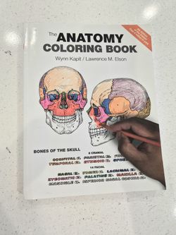 Anatomy Coloring Book