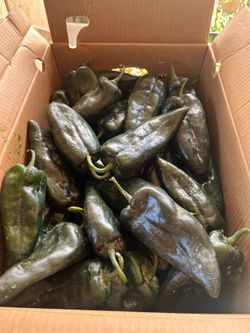 Chiles pasillas $10 la caja