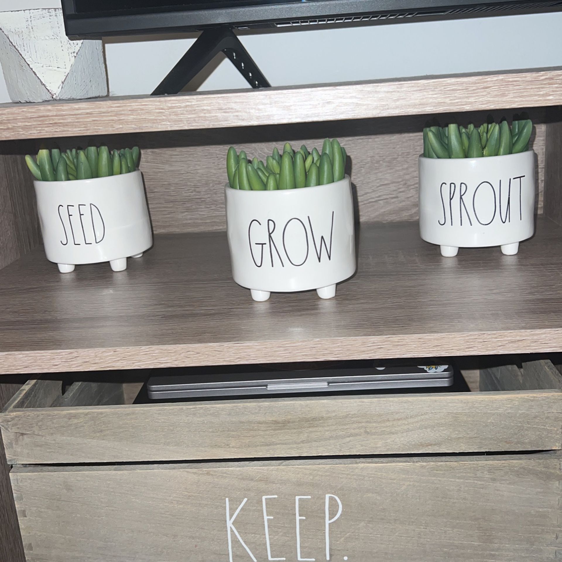 Rae Dunn planters with faux succulents