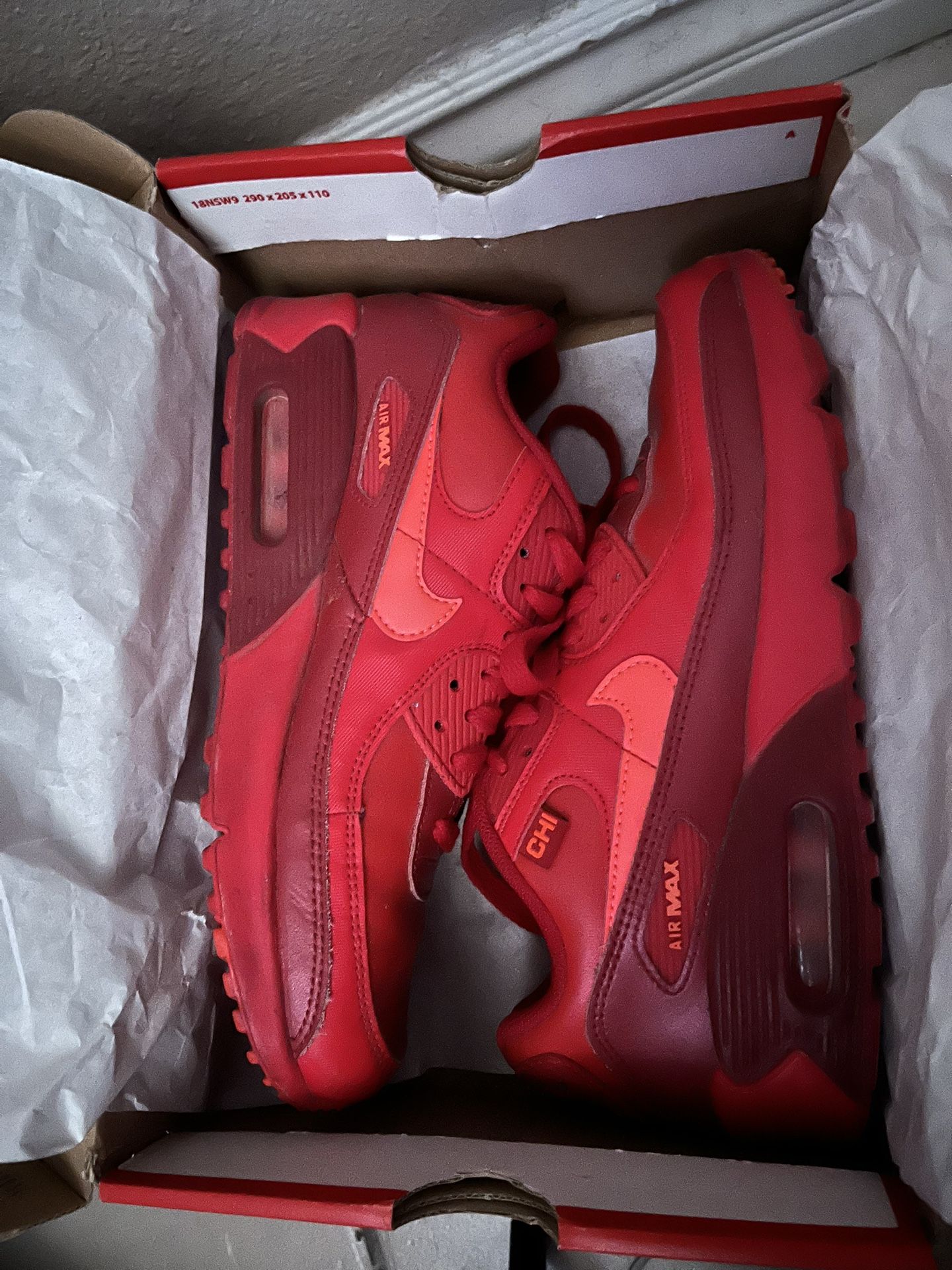 Nike Air Max 90 City Special Chicago