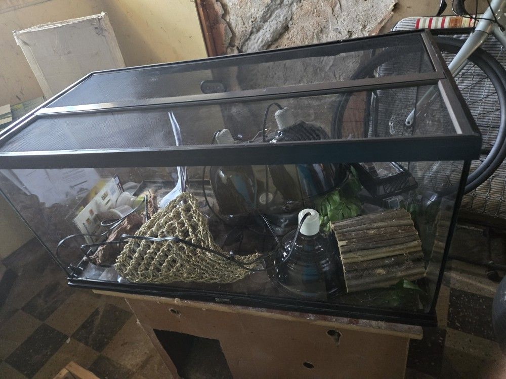 Fish Tank