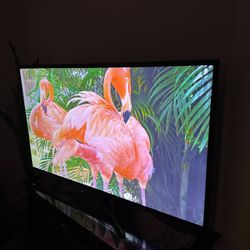 Samsung 55inch TV