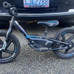 Stacyc 16e Brushless Strider