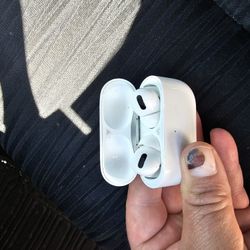 Apple Earbuds 