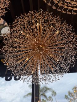 24 lights Starburst Crystal chandelier Gold