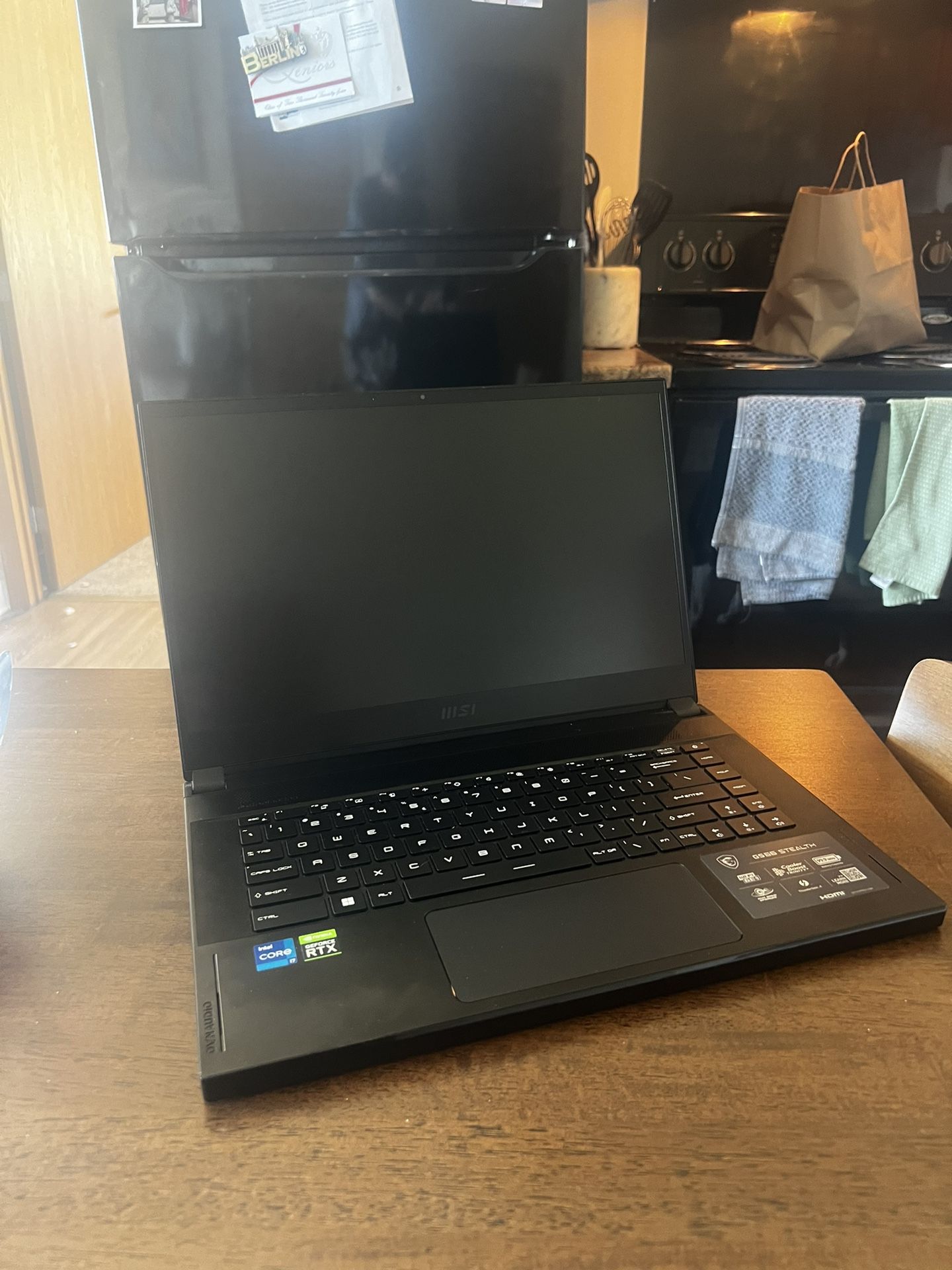 Gaming Laptop