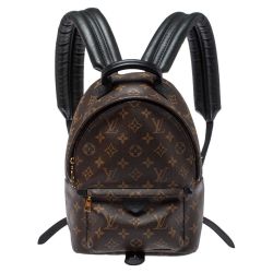 Louis Vuitton Backpack Authentic 