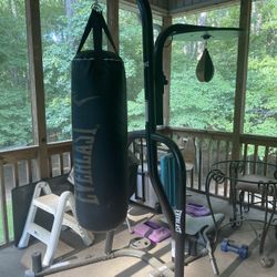 Everlast Powercore Dual Bag And Stand 
