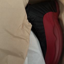 Jordan Flu Game 12