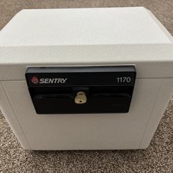 Sentry 1170 Fire Safe Secure File