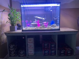 50 gallon aquarium and stand
