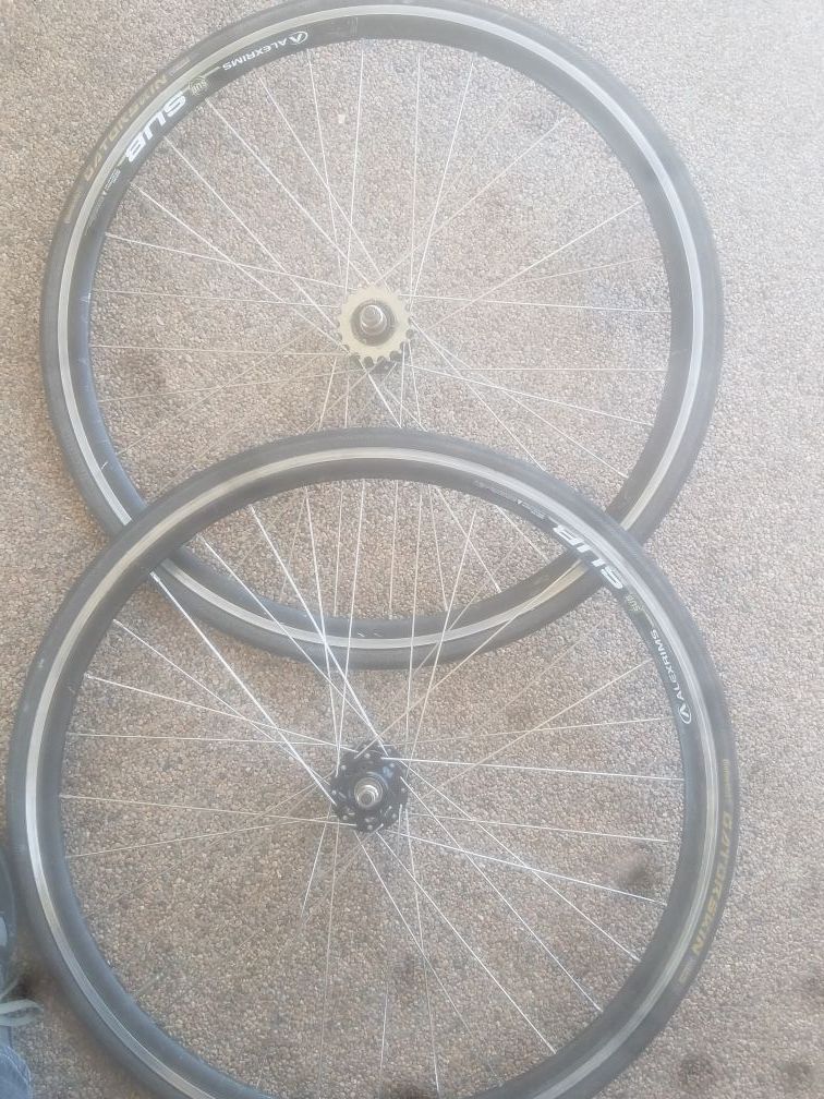 Alex rims by SUB gator skin tires double wall 622×17 6061H-T6 for a fixie
