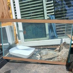 Turtle Tank