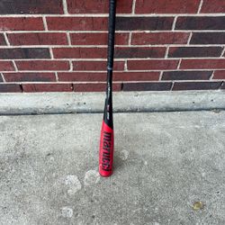 Marucci Cat USA Baseball Certified Bat 31/20