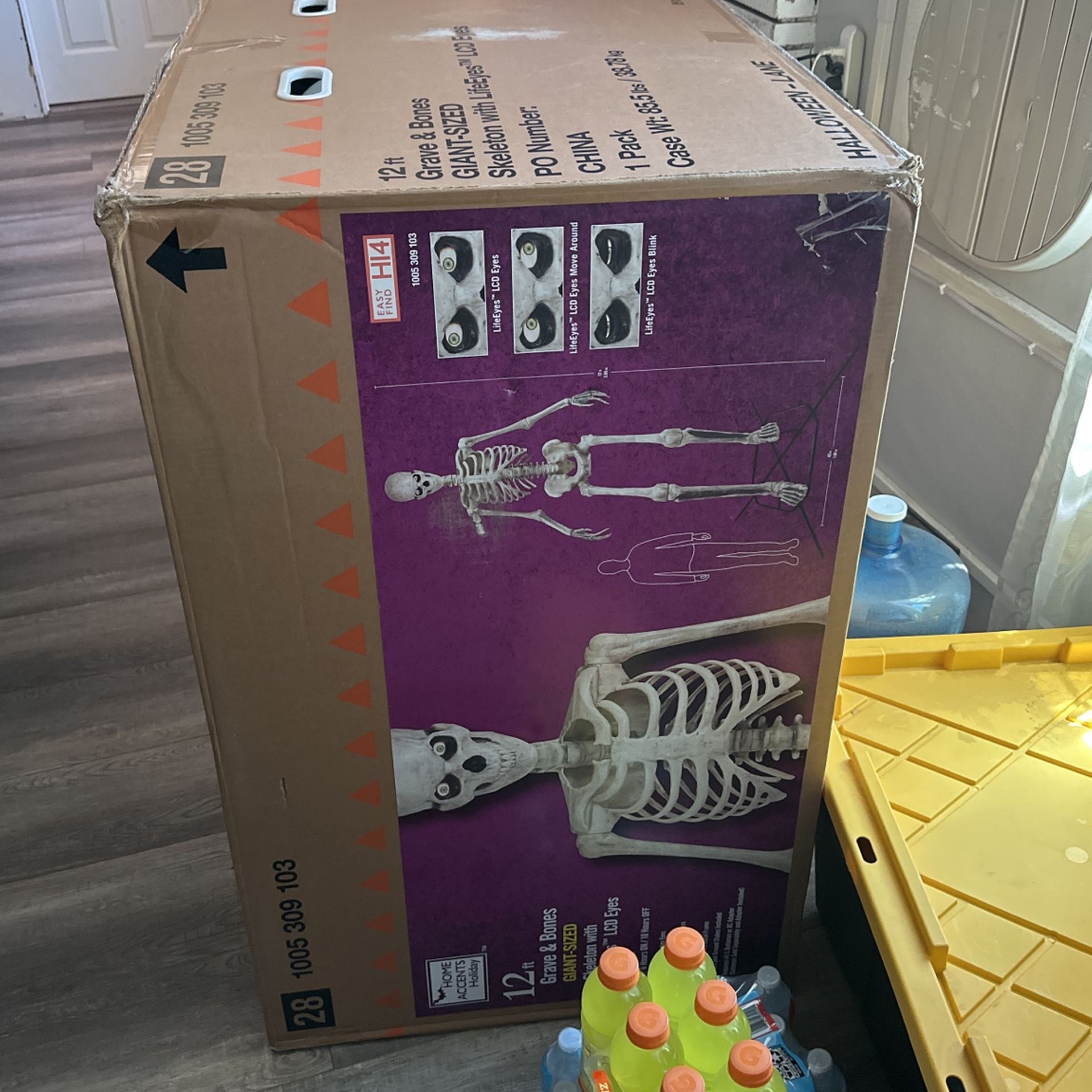 12 Ft Skeleton