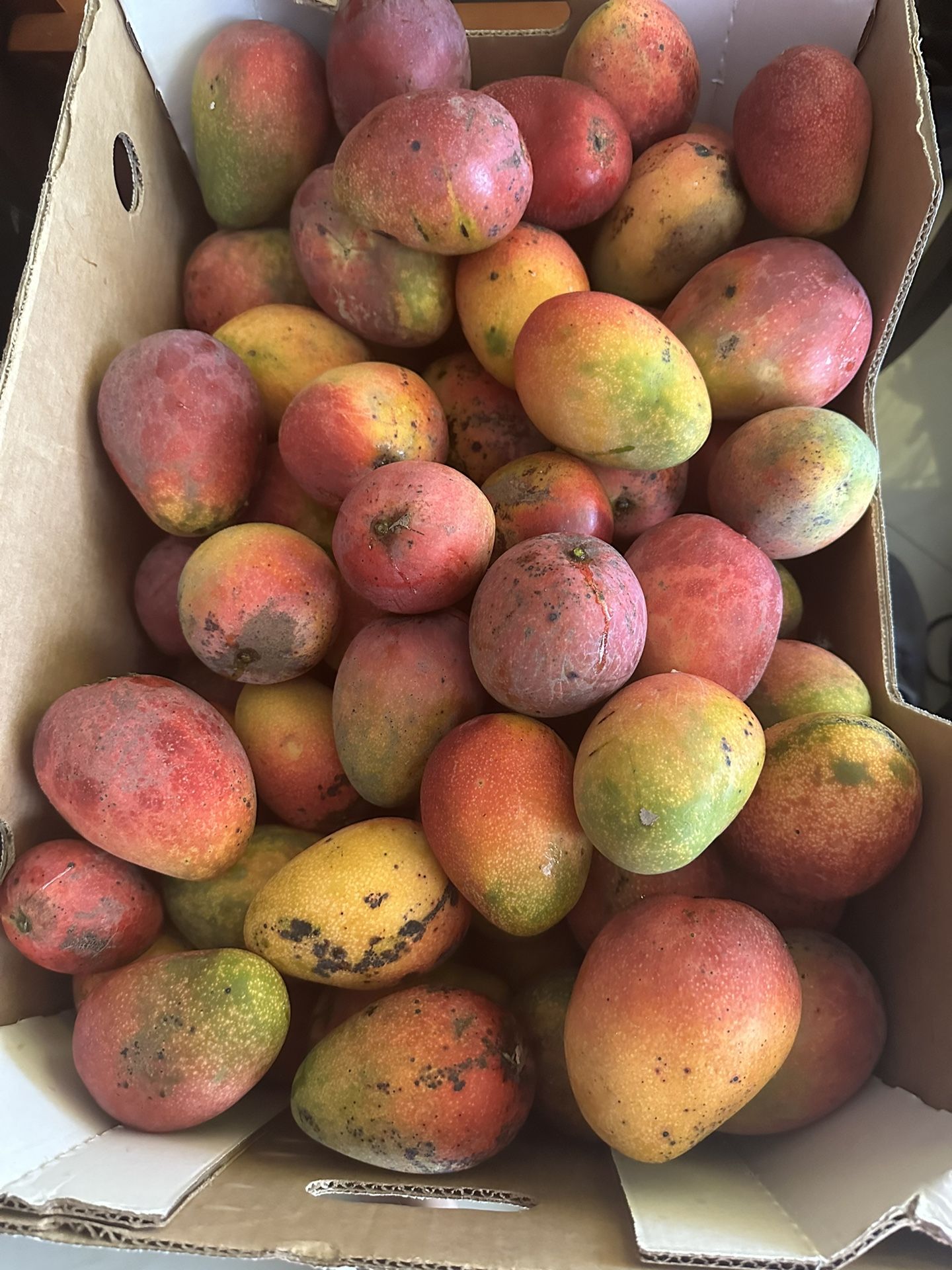 Sweet Mangoes ( Ripe And Green Available)