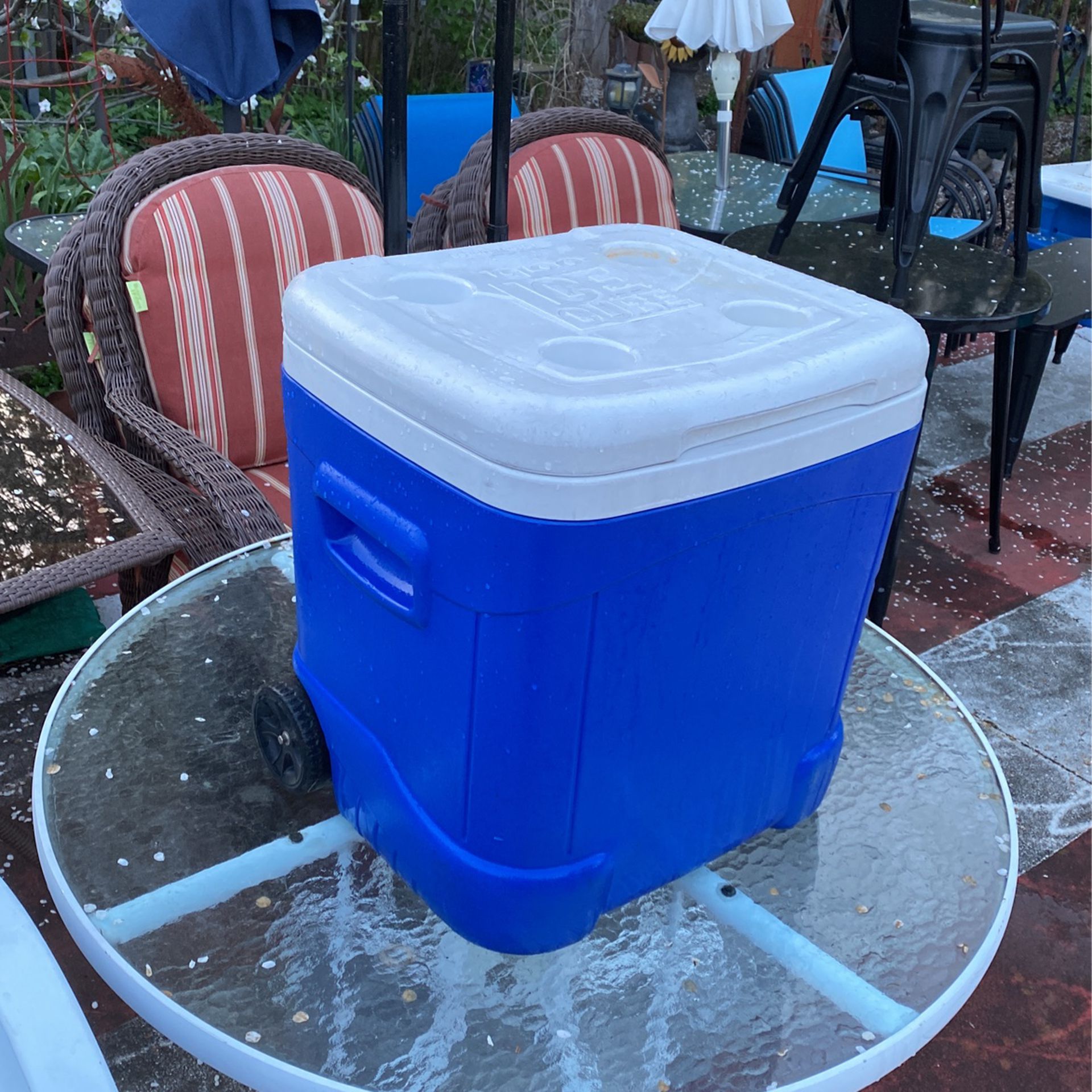 Igloo 60 Quart Rolling Cooler/Ice Chest With Handle