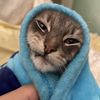 Gary