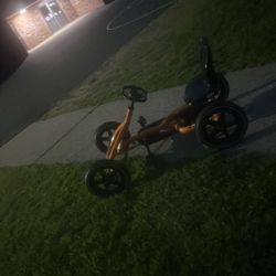 Berg Bike