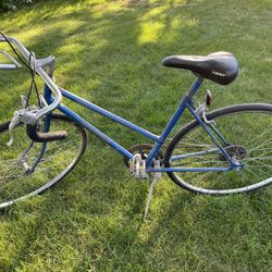 Schwinn Sprint