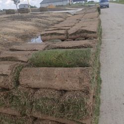 Grass Sod For Sale