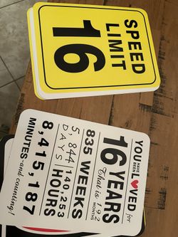 16th Birthday Signs