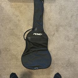 Peavey Guitar Case. Barely Used. Great Condition. 