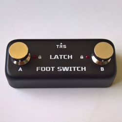 NEW Momentary Digital Mini Dual Guitar Effects Footswitch Switch Controller 